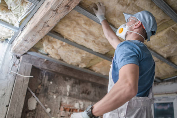 Best Insulation Materials and Products in St Bernard, OH