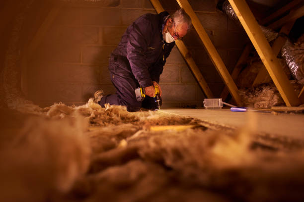 Best Commercial Insulation in St Bernard, OH